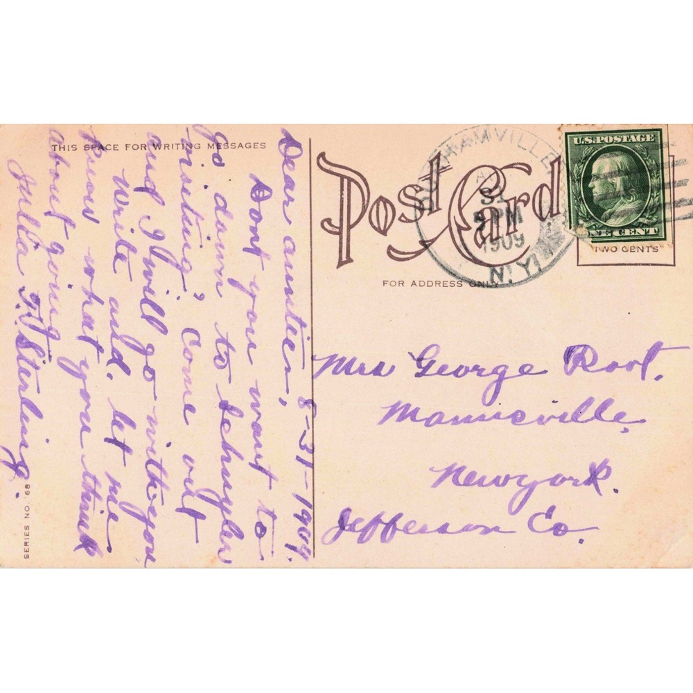 Pink Carnations Flowers Poem 1909 Evansville New York NY Antique Postcard Posted - Picture 2 of 2